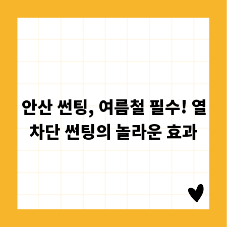 안산 썬팅, 여름철 필수! 열차단 썬팅의 놀라운 효과