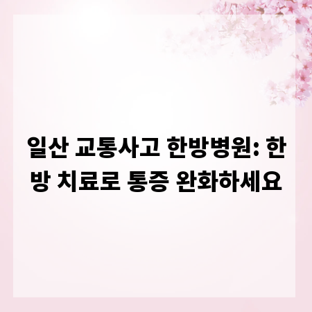 일산 교통사고 한방병원: 한방 치료로 통증 완화하세요