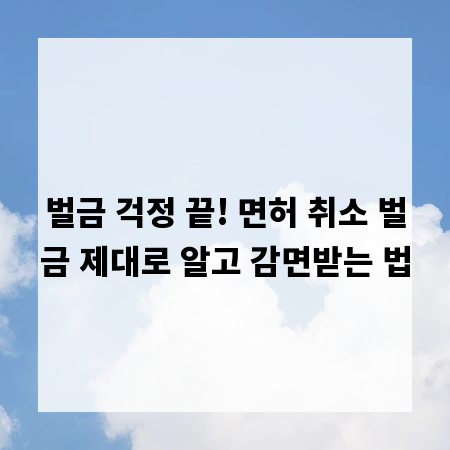벌금 걱정 끝! 면허 취소 벌금 제대로 알고 감면받는 법