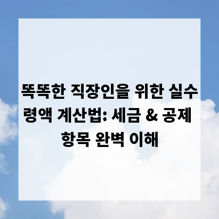 똑똑한 직장인을 위한 실수령액 계산법: 세금 & 공제 항목 완벽 이해