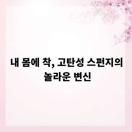 내 몸에 착, 고탄성 스펀지의 놀라운 변신
