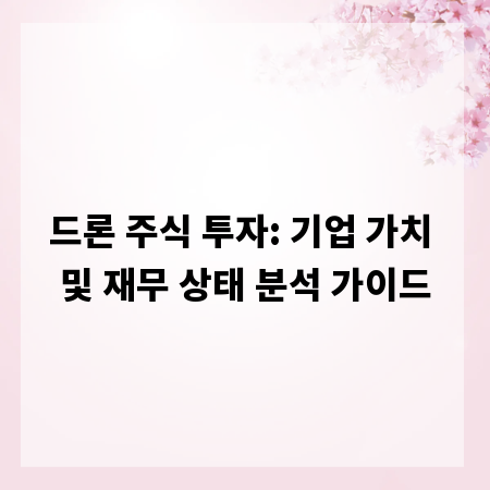 드론 주식 투자: 기업 가치 및 재무 상태 분석 가이드