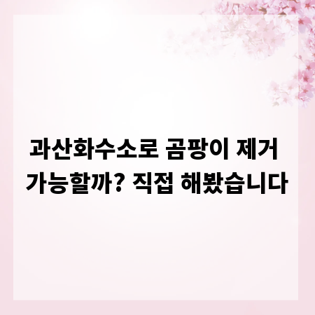 과산화수소로 곰팡이 제거 가능할까? 직접 해봤습니다