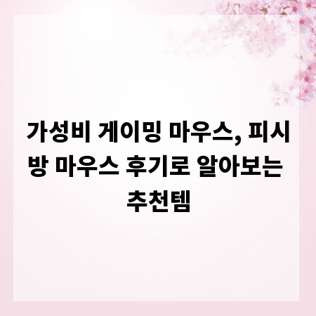 가성비 게이밍 마우스, 피시방 마우스 후기로 알아보는 추천템