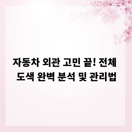 자동차 외관 고민 끝! 전체 도색 완벽 분석 및 관리법