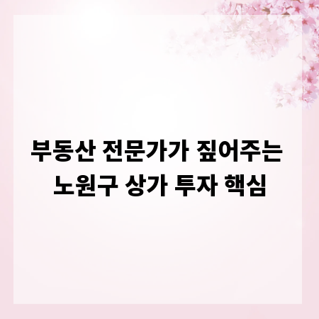 부동산 전문가가 짚어주는 노원구 상가 투자 핵심