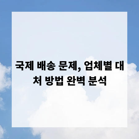국제 배송 문제, 업체별 대처 방법 완벽 분석