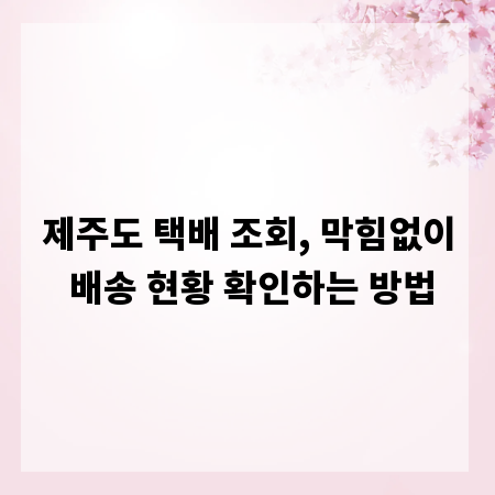 제주도 택배 조회, 막힘없이 배송 현황 확인하는 방법