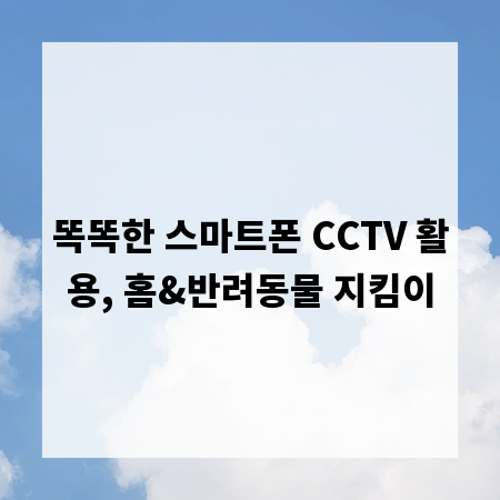 똑똑한 스마트폰 CCTV 활용, 홈&반려동물 지킴이
