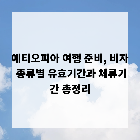에티오피아 여행 준비, 비자 종류별 유효기간과 체류기간 총정리