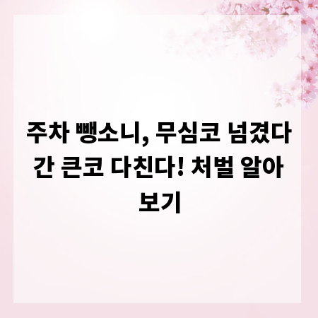 주차 뺑소니, 무심코 넘겼다간 큰코 다친다! 처벌 알아보기