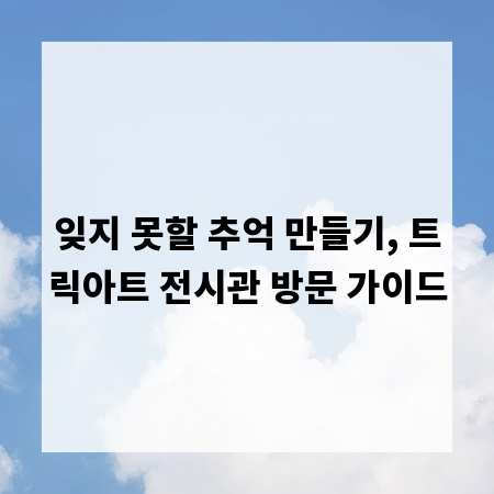 잊지 못할 추억 만들기, 트릭아트 전시관 방문 가이드